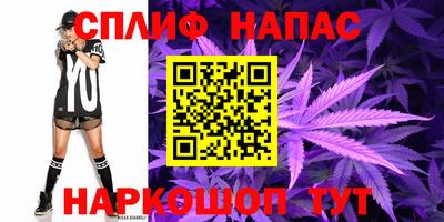 гидропоника Пугачёв