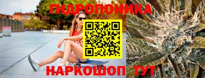 гидропоника Пугачёв